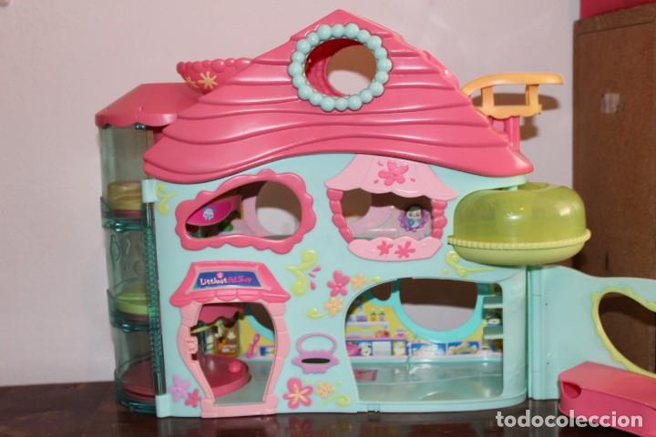 casa little pet shop