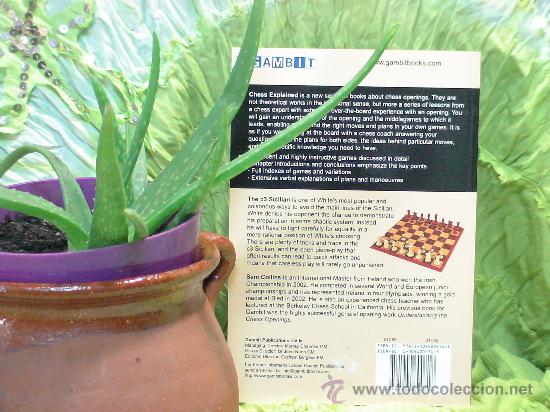 Coleccionismo deportivo: Ajedrez. Chess Explained: The c3 Sicilian - Sam Collins DESCATALOGADO!!! - Foto 6