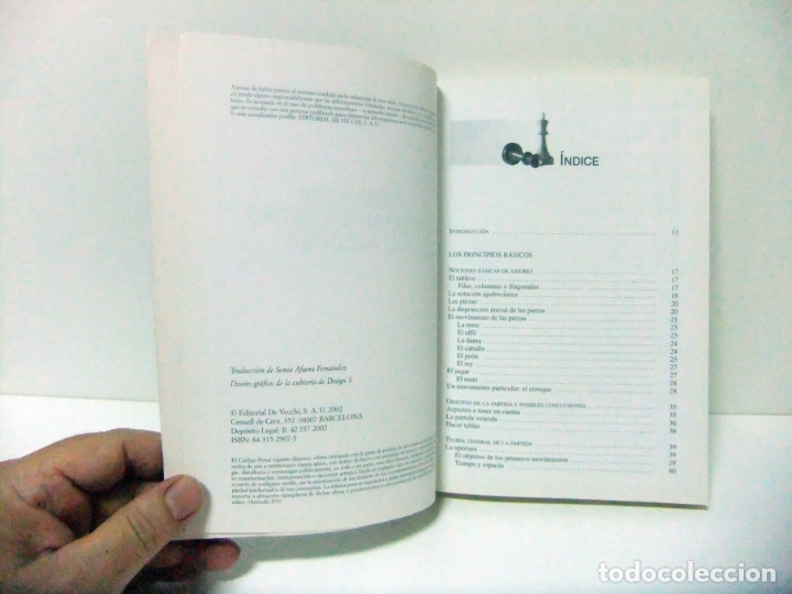 Coleccionismo deportivo: C&Oacute;MO SER UN GRAN MAESTRO DE AJEDREZ - ADOLIVIO CAPECE - EDITORIAL DE VECCHI 2002 DVE LIBRO - Foto 3