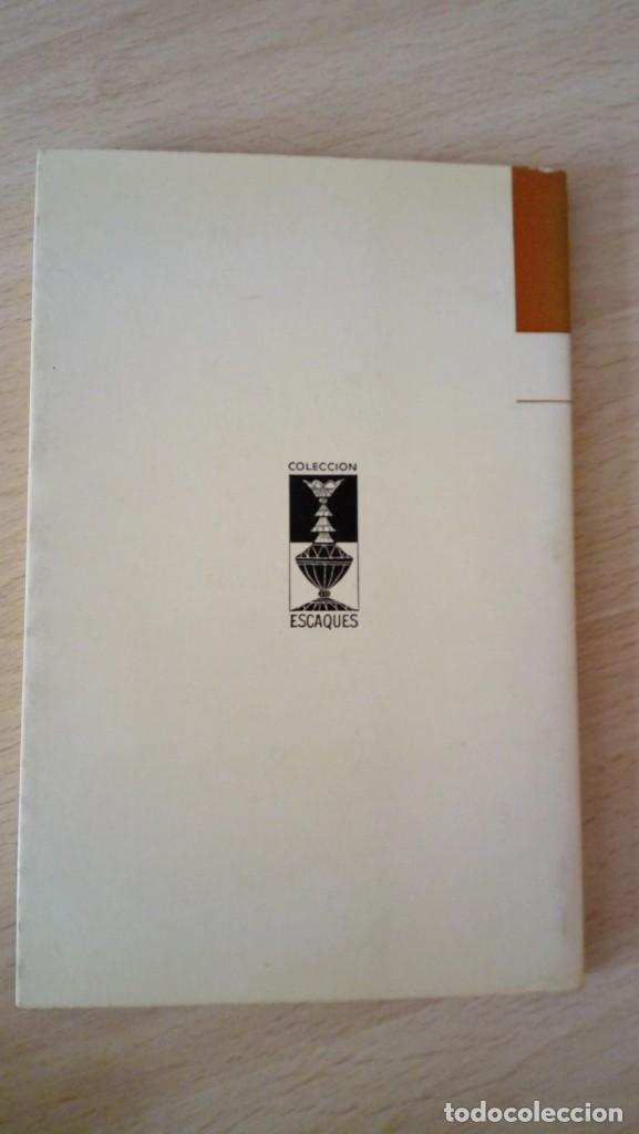 Coleccionismo deportivo: Ajedrez elemental V.N. Panov    Ediciones Martinez Roca, a&ntilde;o 1976 - Foto 2