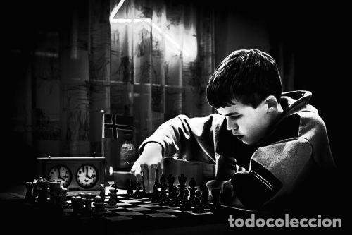 Coleccionismo deportivo: Ajedrez. Illuminating Chess - Fred Lucas (Hardback) - Foto 4