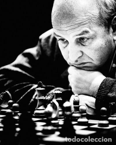 Coleccionismo deportivo: Ajedrez. Illuminating Chess - Fred Lucas (Hardback) - Foto 6