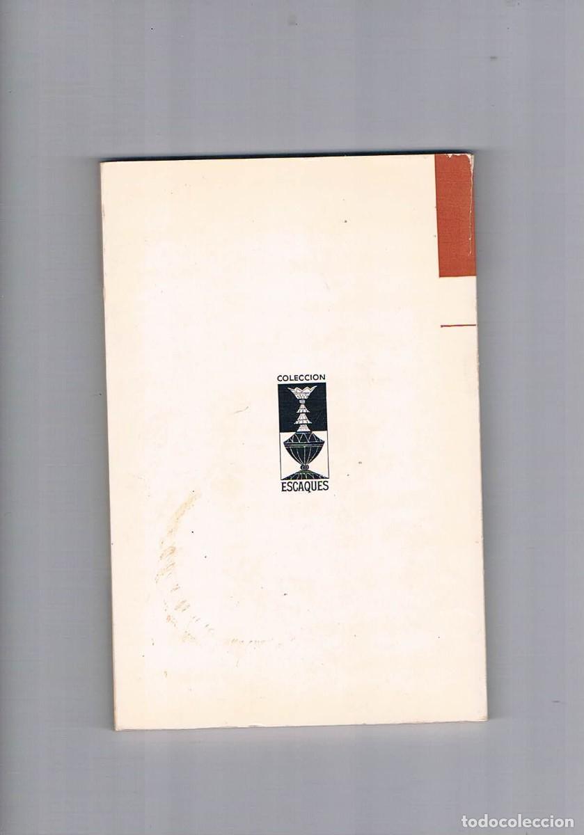Coleccionismo deportivo: Ajedrez elemental Panov coleccion escaques 1973 - Foto 2