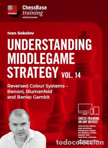 Coleccionismo deportivo: Ajedrez. Chess. Understanding Middlegame Strategies 14 - Ivan Sokolov (Download)