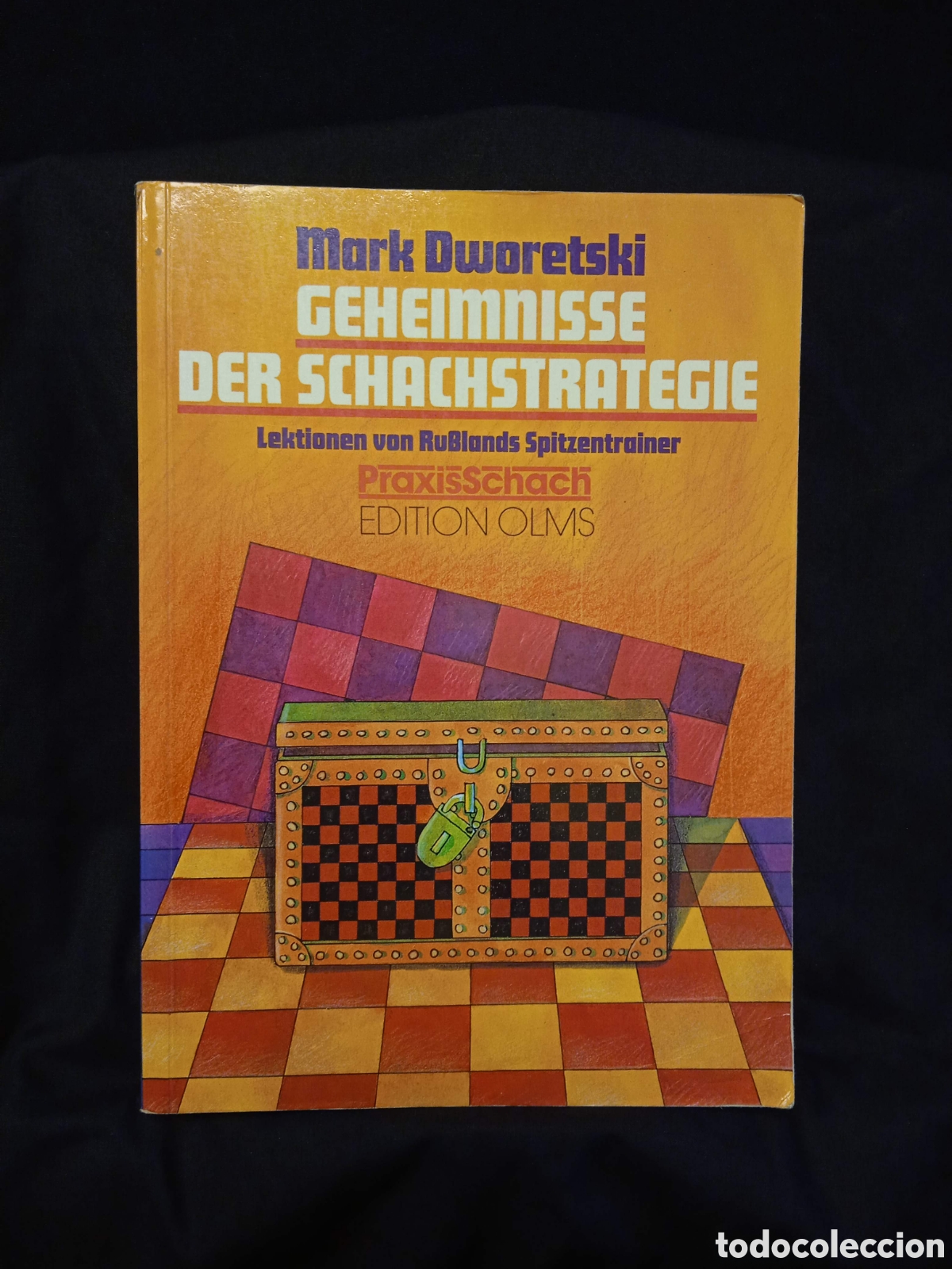 Coleccionismo deportivo: GEHEIMNISSE DER SCHACHSTRATEGIE - MARK DWORETSKI - TEOR&Iacute;A DE AJEDREZ #COL