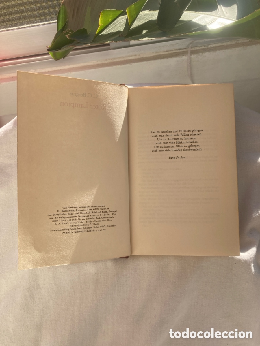 Libros: Roter Lampion:Rom&aacute;n Autor Bergius - Foto 5