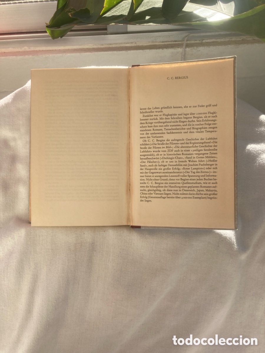 Libros: Roter Lampion:Rom&aacute;n Autor Bergius - Foto 6