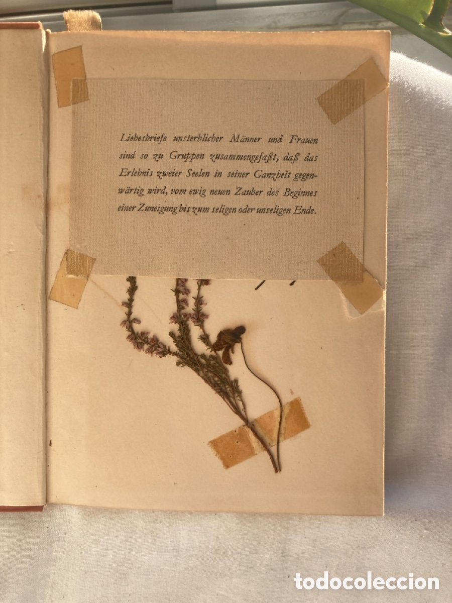 Libros: ICH LIEBE DICH Julia Gebrig - Foto 2
