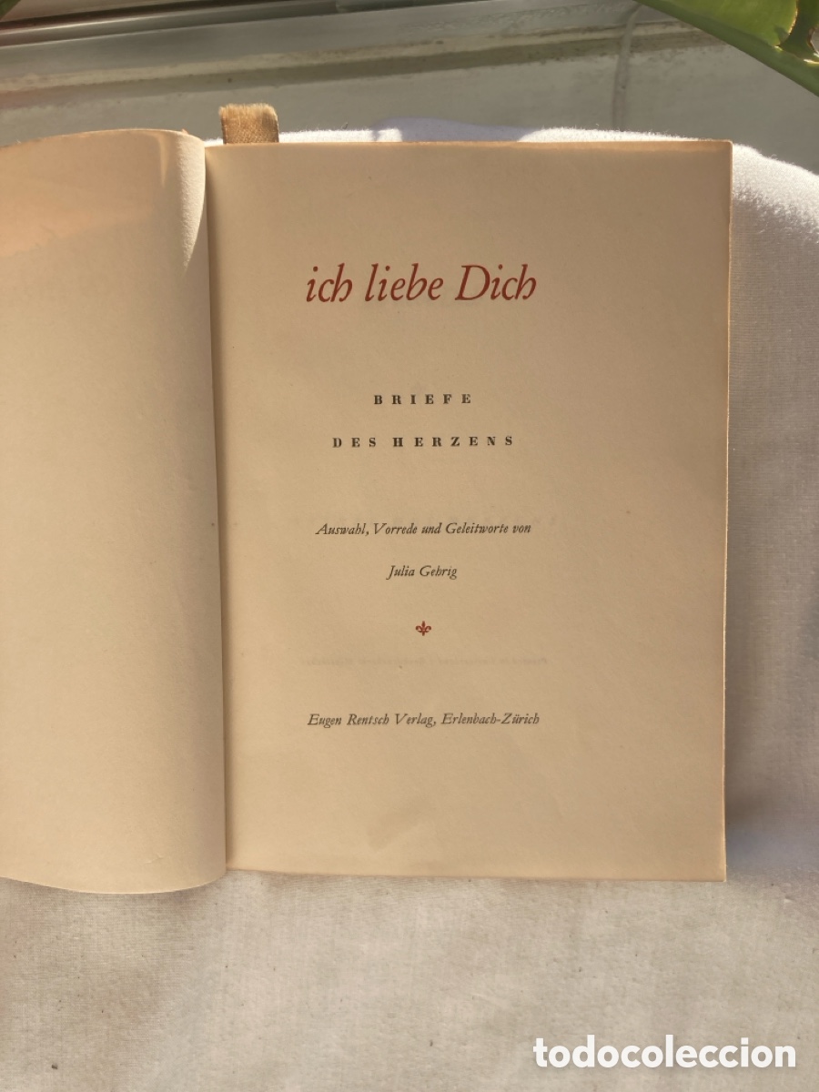 Libros: ICH LIEBE DICH Julia Gebrig - Foto 3
