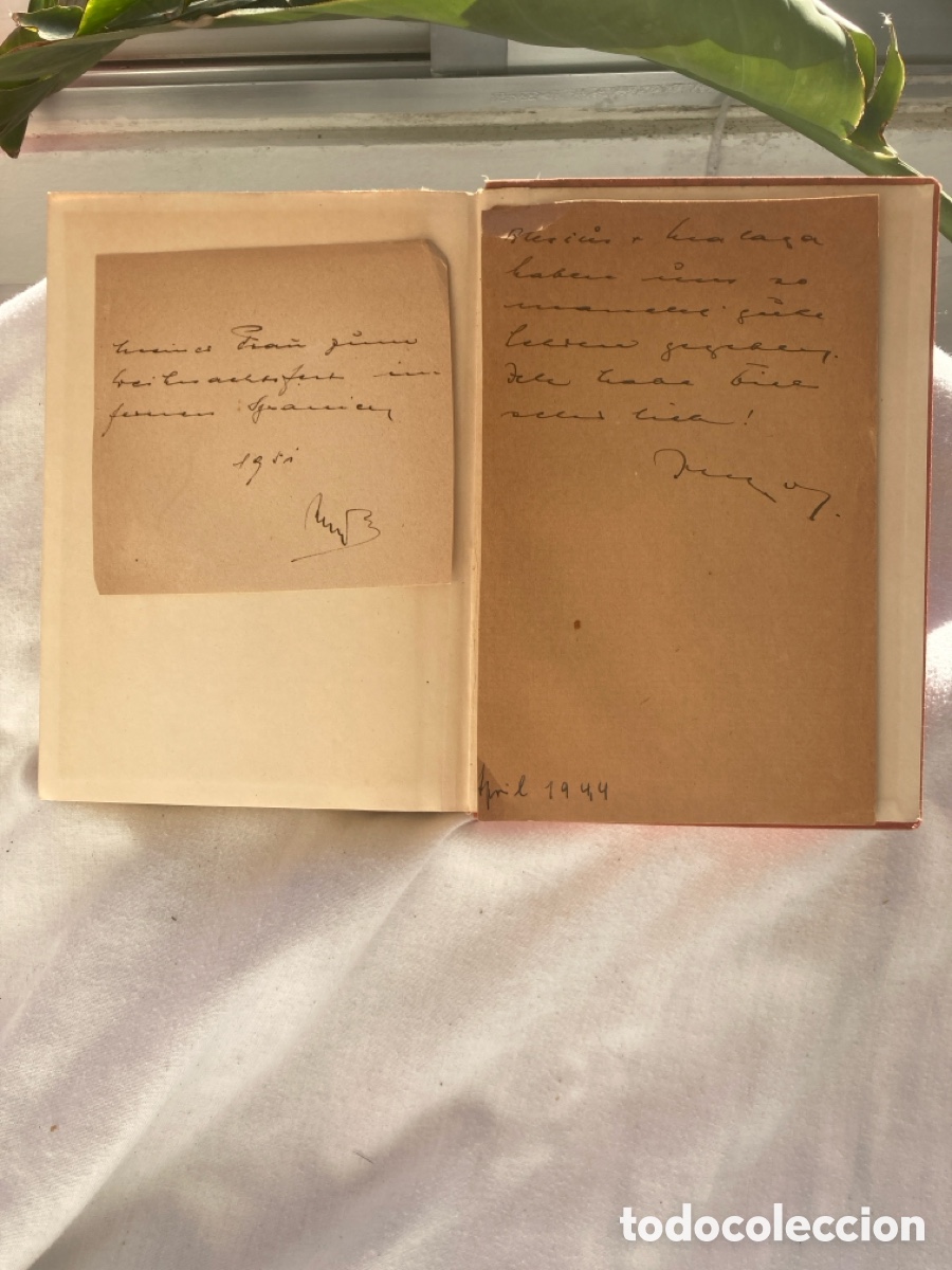 Libros: ICH LIEBE DICH Julia Gebrig - Foto 6