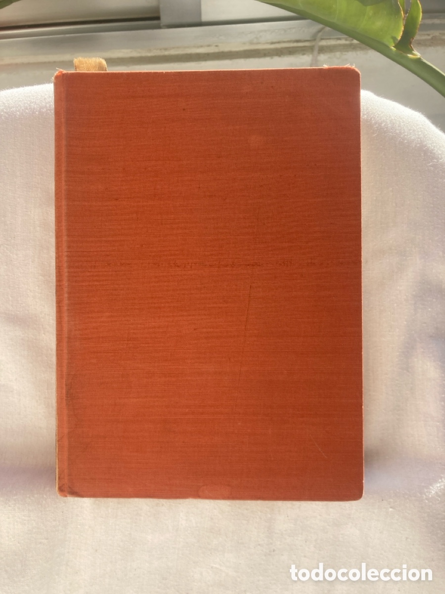 Libros: ICH LIEBE DICH Julia Gebrig - Foto 1