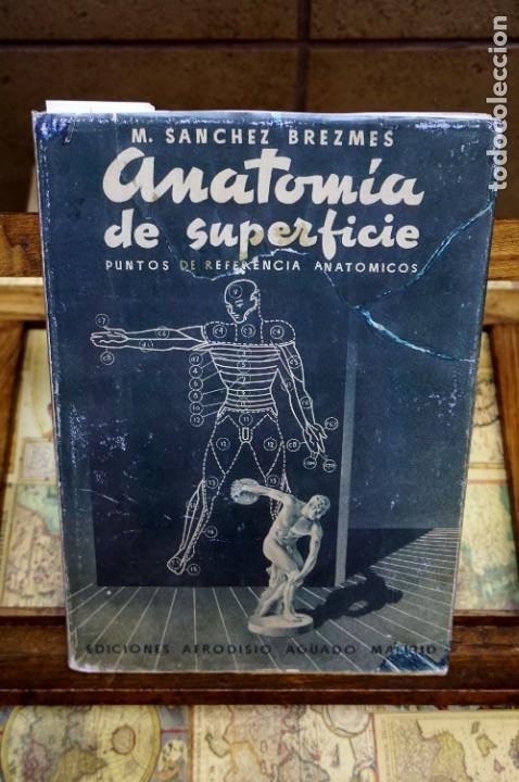 Libros: sanchez brezmes m. anatomia de superficie.puntos de referencia anatomicos. - Foto 1 - 265772799