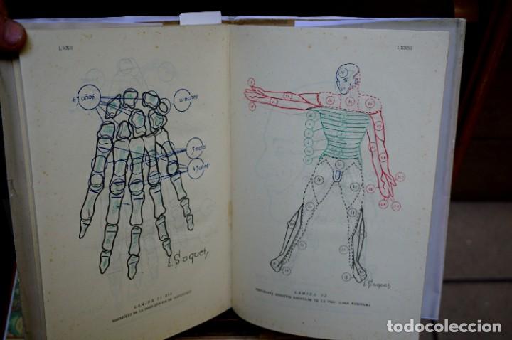 Libros: sanchez brezmes m. anatomia de superficie.puntos de referencia anatomicos. - Foto 2 - 265772799