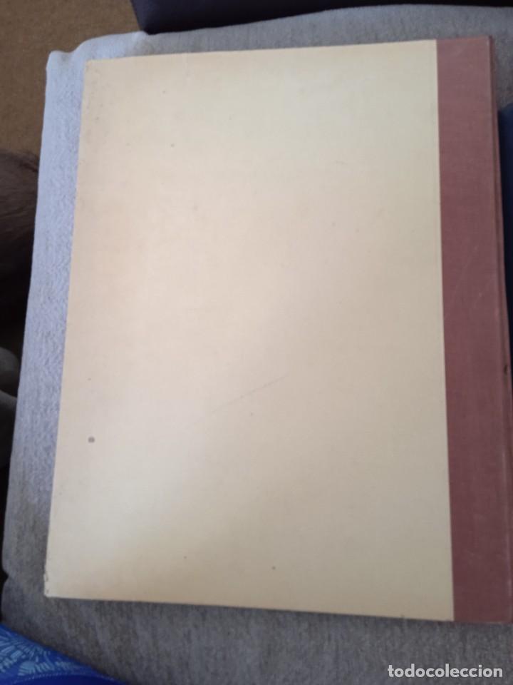 Libros: LIBRO Coupes horizontales du tronc - Foto 3