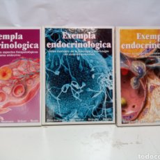 Libros: LIBROS EXEMPLA ENDOCRINOLOGIA LOTE 3 PANTOGENIA FISIOLOGIA Y MORFOLOGÍA FISIOPATOLÓGICOS. Lote 345481573