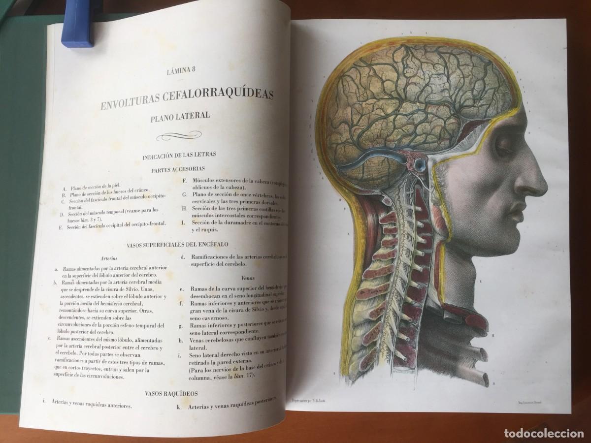 Libros: Libro LA ANATOMIA DEL HOMBRE - Foto 3