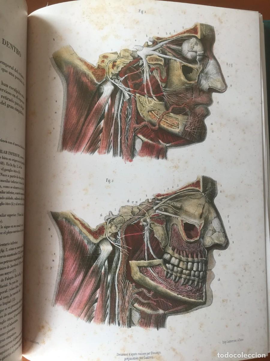 Libros: Libro LA ANATOMIA DEL HOMBRE - Foto 4