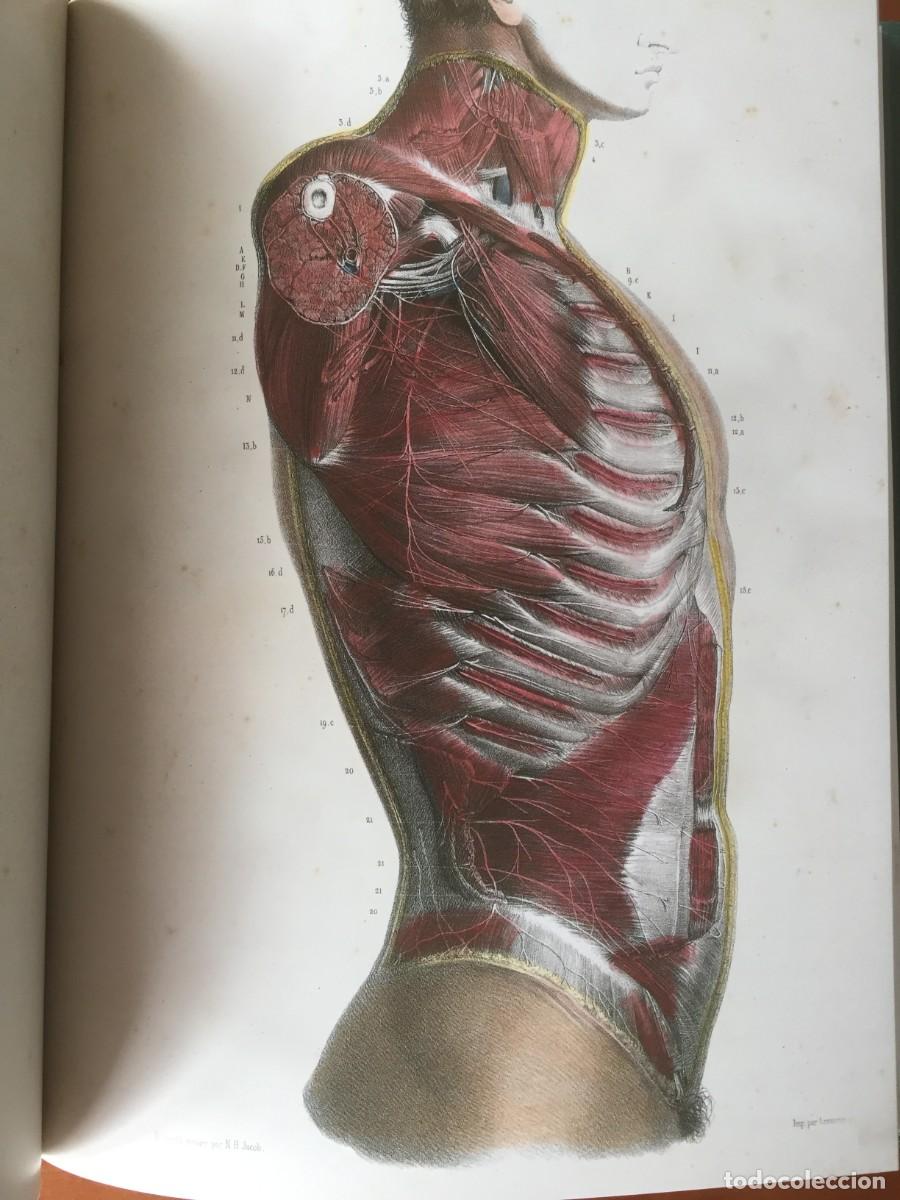 Libros: Libro LA ANATOMIA DEL HOMBRE - Foto 5