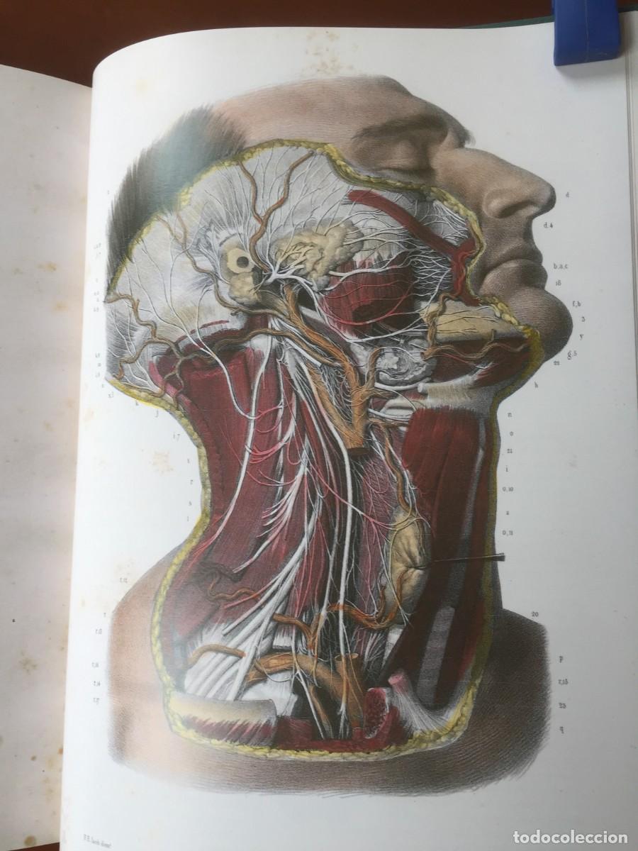 Libros: Libro LA ANATOMIA DEL HOMBRE - Foto 6
