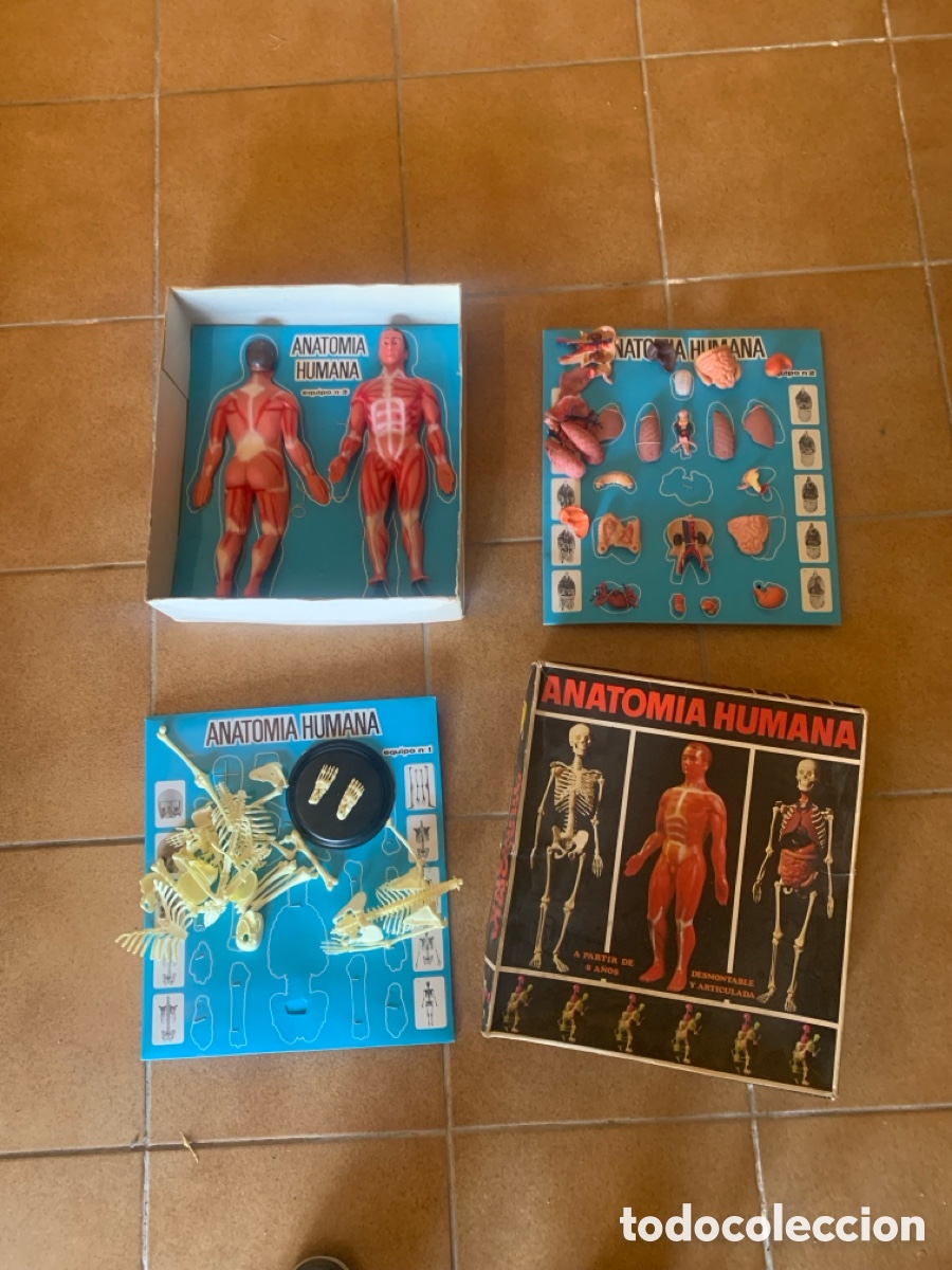 Libros: Caja ANATOMIA HUMANA 2 cajas en 1 - Foto 2