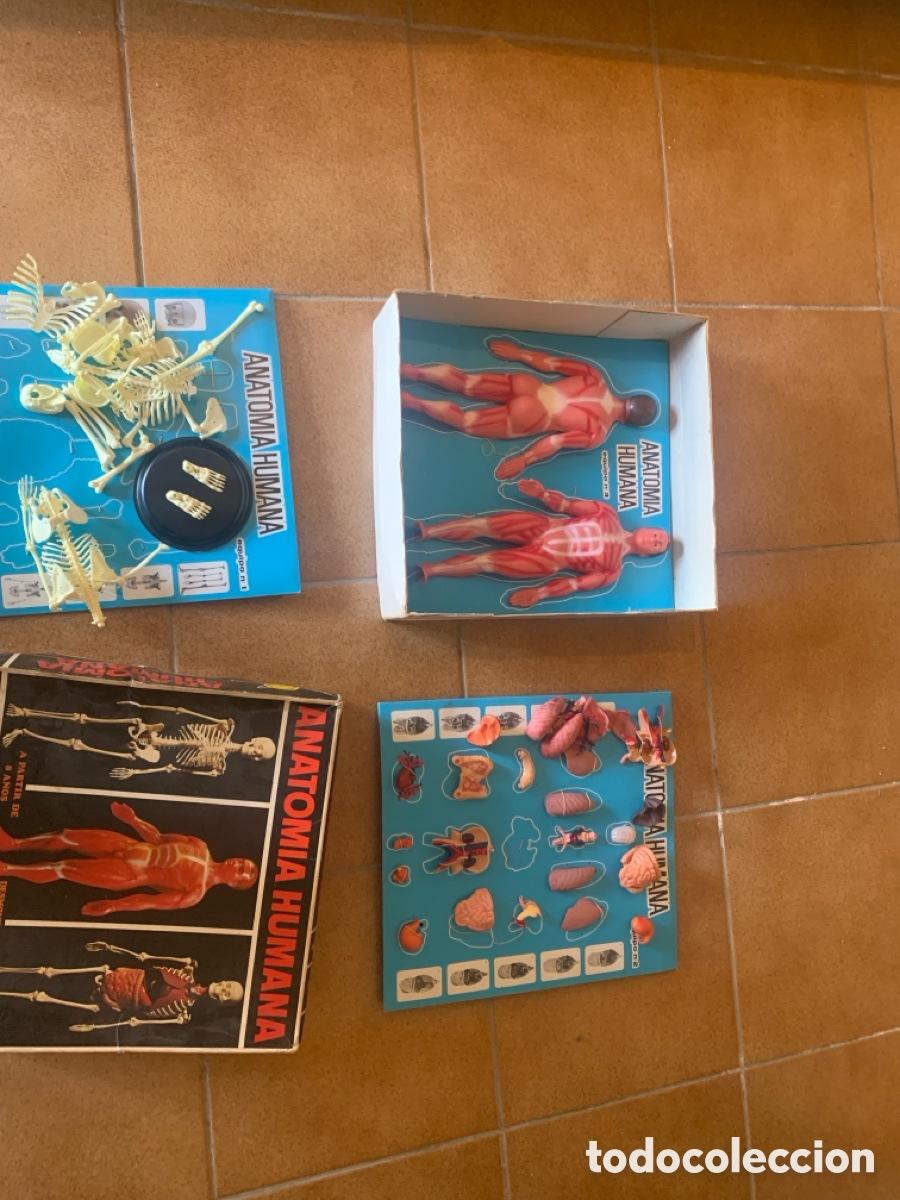 Libros: Caja ANATOMIA HUMANA 2 cajas en 1 - Foto 6