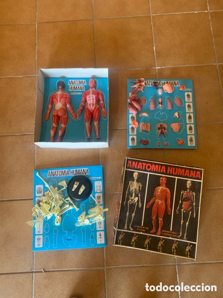 Libros: Caja ANATOMIA HUMANA 2 cajas en 1 - Foto 1