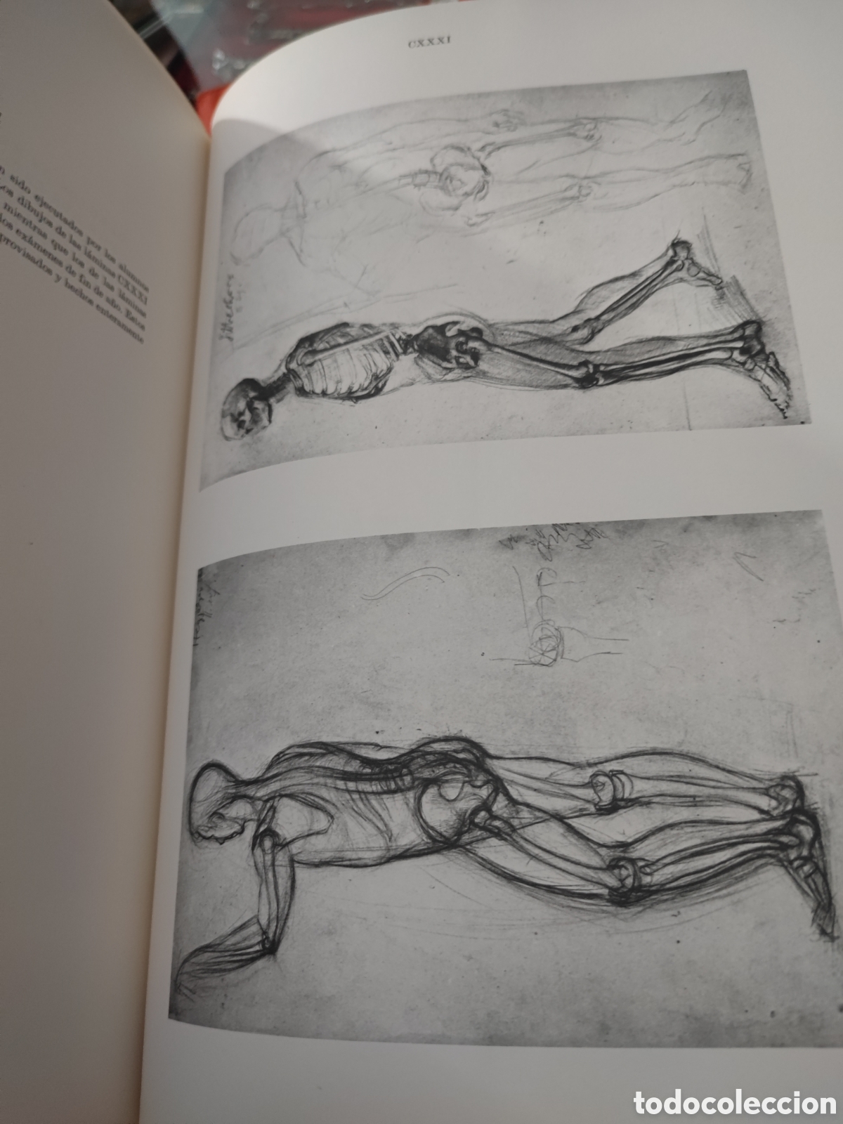 Libros: ANATOMIA ARTISTICA DEL CUERPO HUMANO - Foto 9