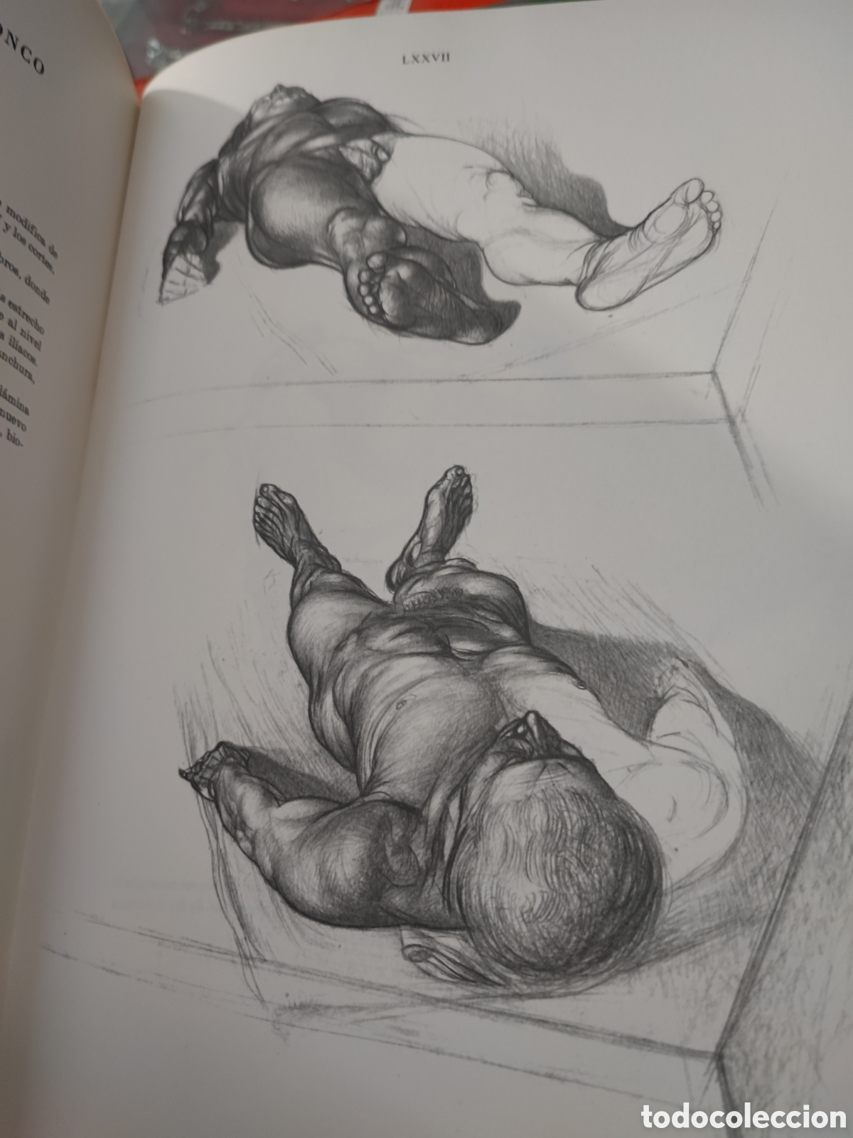 Libros: ANATOMIA ARTISTICA DEL CUERPO HUMANO - Foto 10