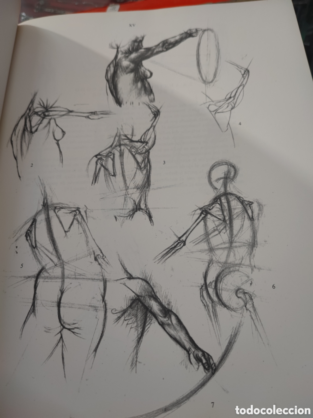 Libros: ANATOMIA ARTISTICA DEL CUERPO HUMANO - Foto 11