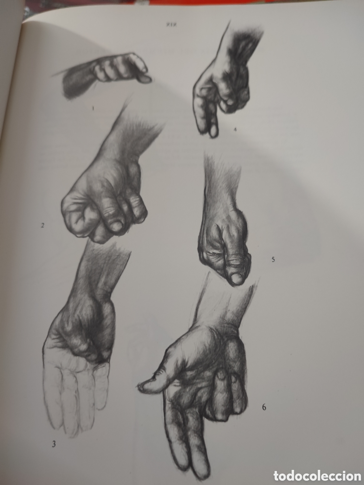 Libros: ANATOMIA ARTISTICA DEL CUERPO HUMANO - Foto 12