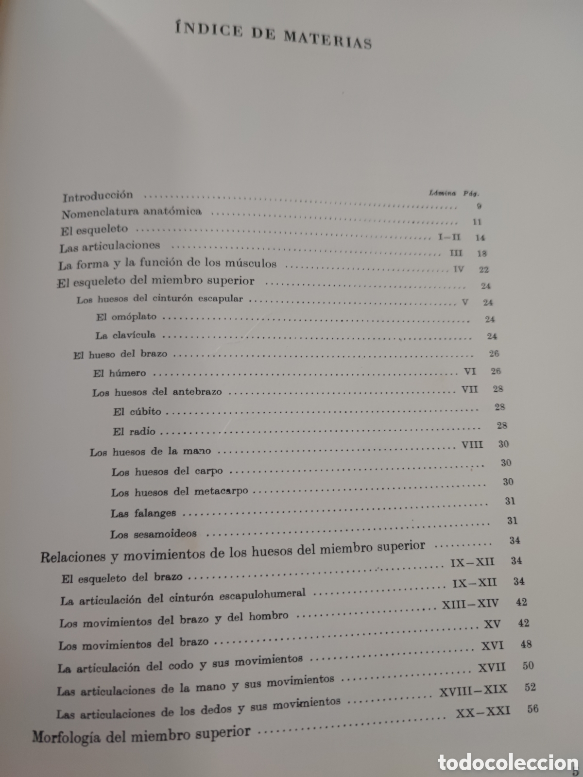 Libros: ANATOMIA ARTISTICA DEL CUERPO HUMANO - Foto 4