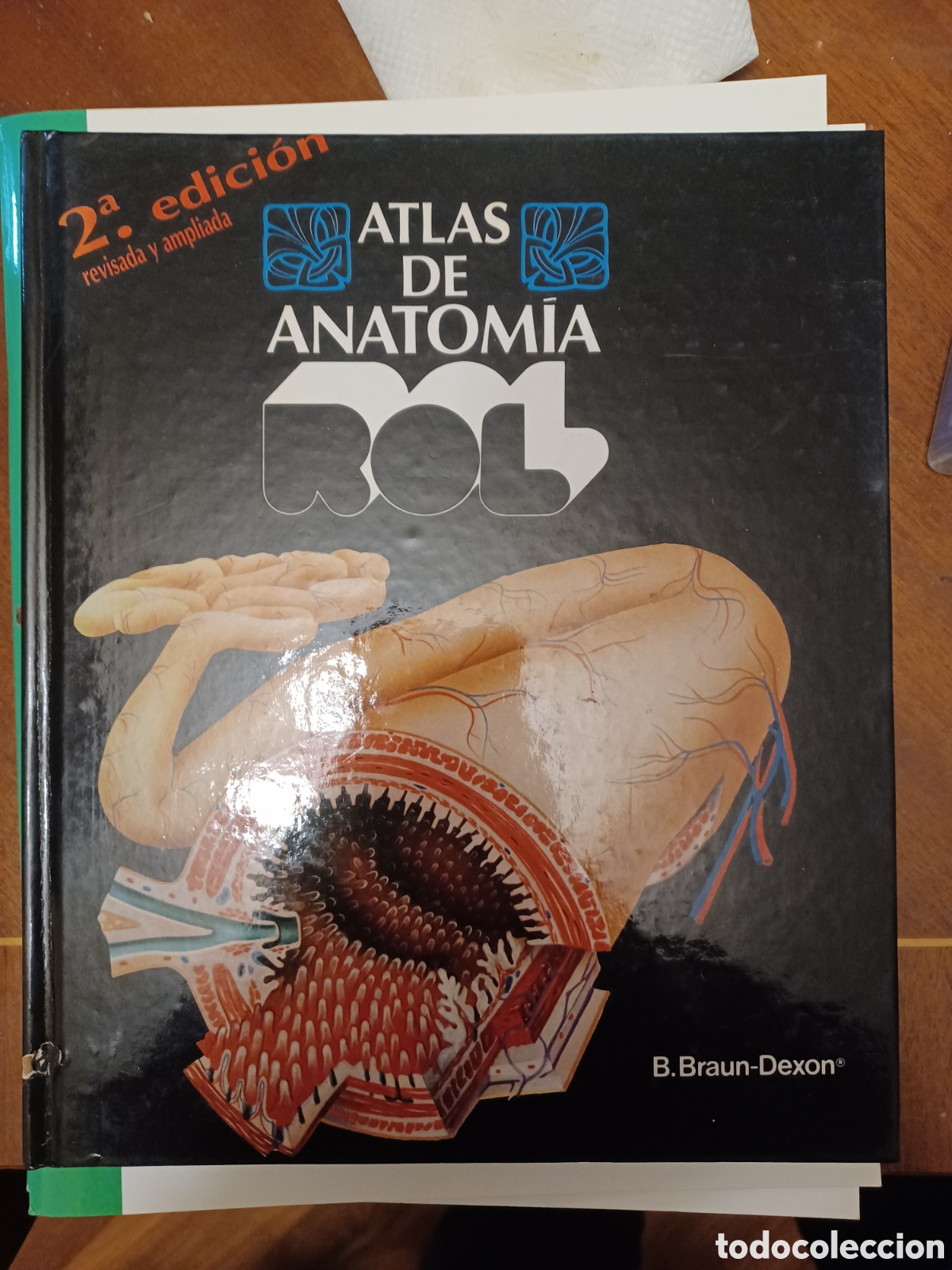 Libros: Atlas de anatom&iacute;a - B. Braun-Dexon - ED. Rol - Foto 1