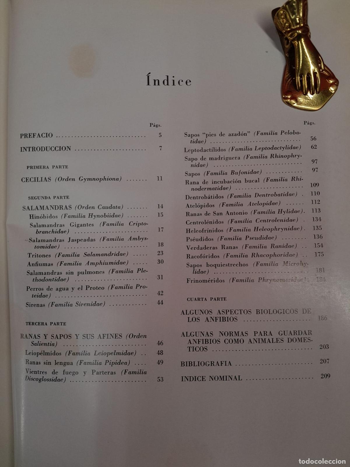 Libros: L-5853. LOS ANFIBIOS. DORIS M. COCHRAN. BARCELONA. 1961 - Foto 3
