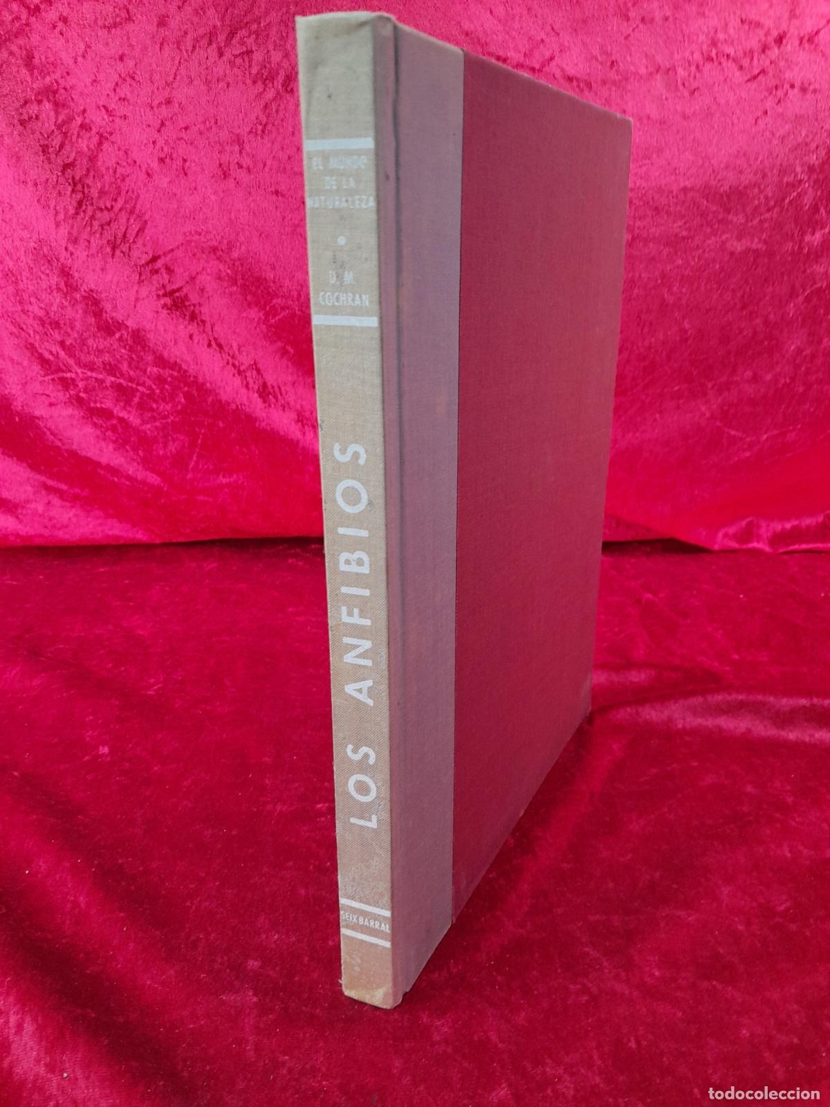 Libros: L-5853. LOS ANFIBIOS. DORIS M. COCHRAN. BARCELONA. 1961 - Foto 1