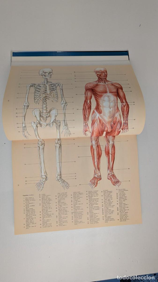 Libros: ANATOMIA PERSPECTIVA COMPOSICION PARA EL ARTISTA. - Foto 3