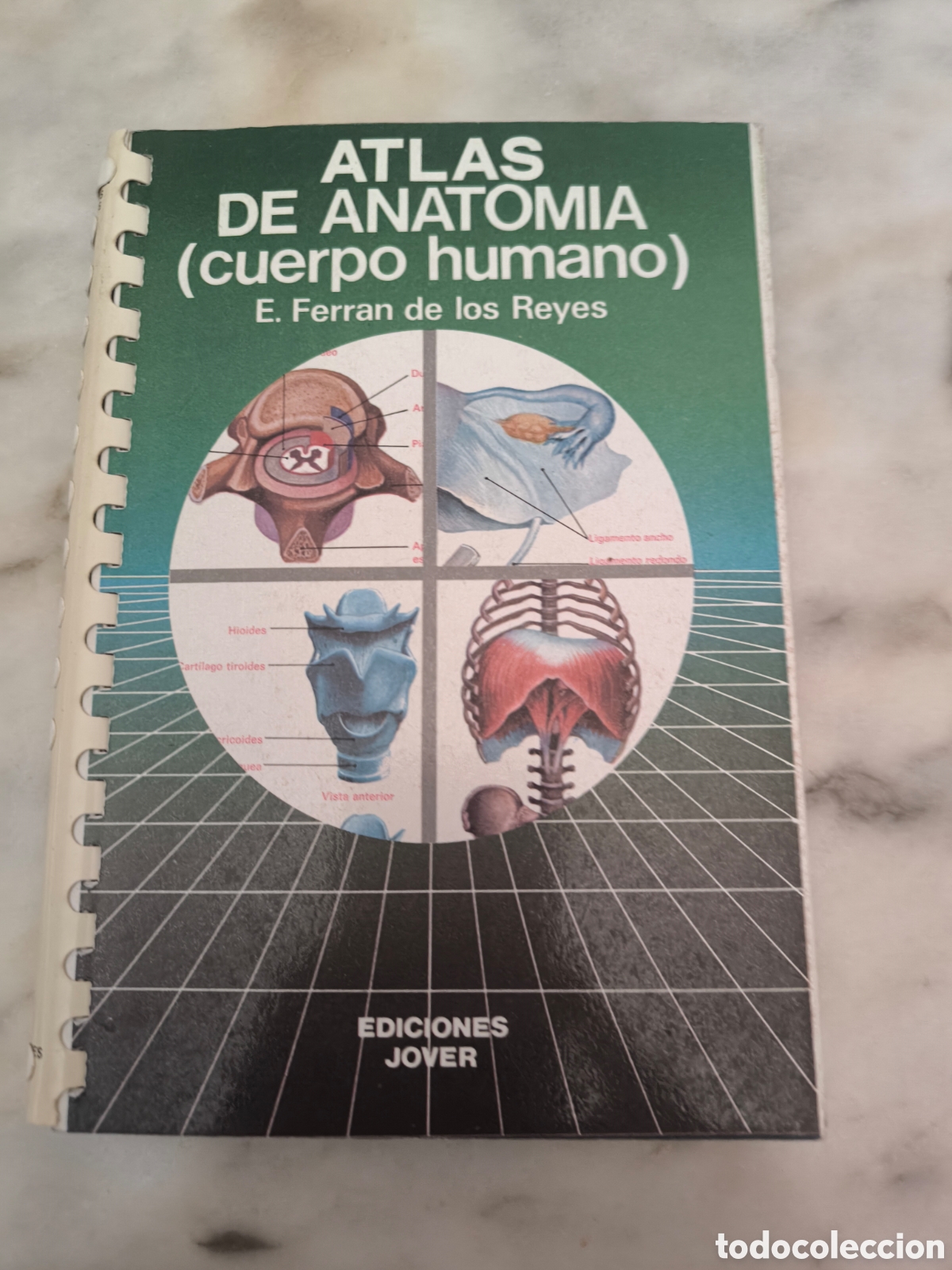 Libros: Atlas de anatom&iacute;a (cuerpo humano) - Foto 1