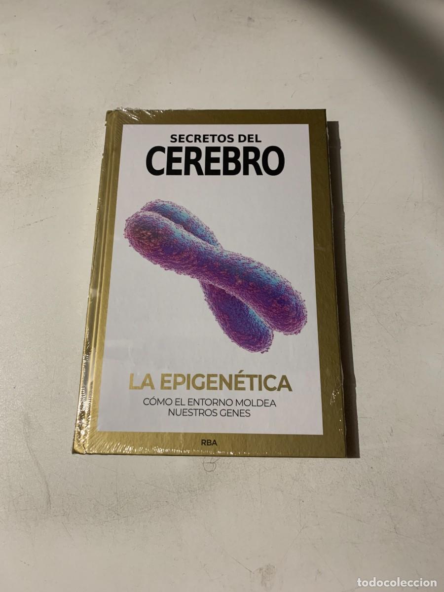 Libros: NUEVO LA EPIGEN&Eacute;TICA SECRETOS DEL CEREBRO RBA
