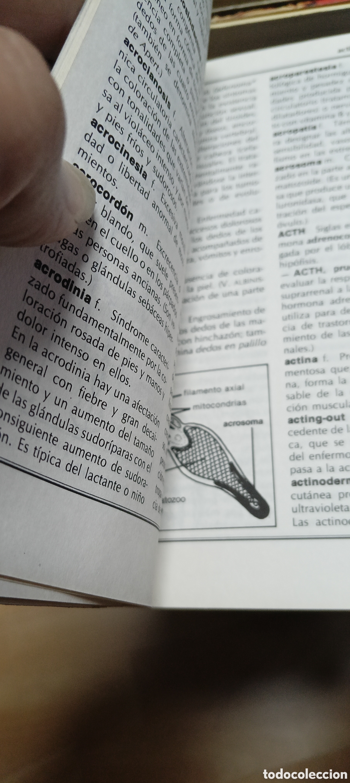 Libros: Libro Medicina y Salud - Foto 5