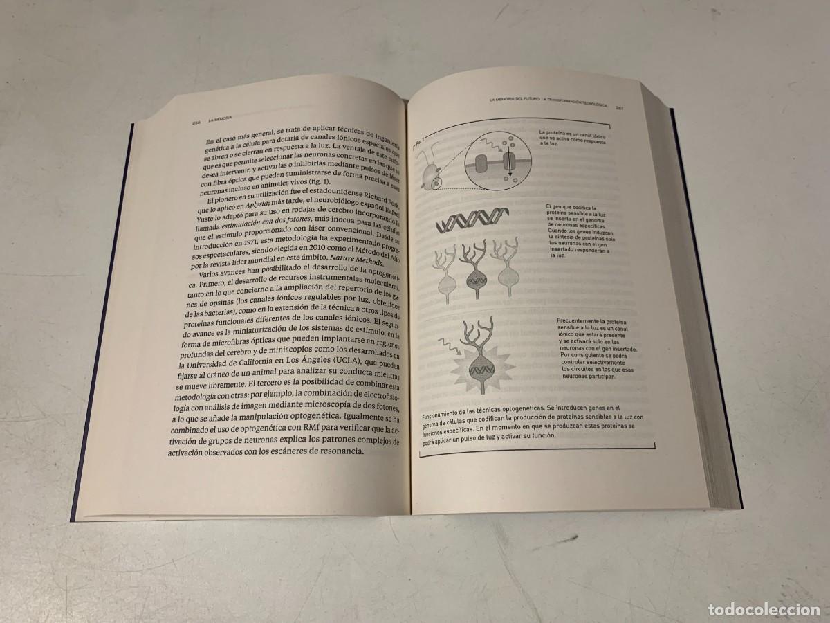 Libros: NUEVO LIBRO LOS SECRETOS DEL CEREBRO RBA - Foto 5
