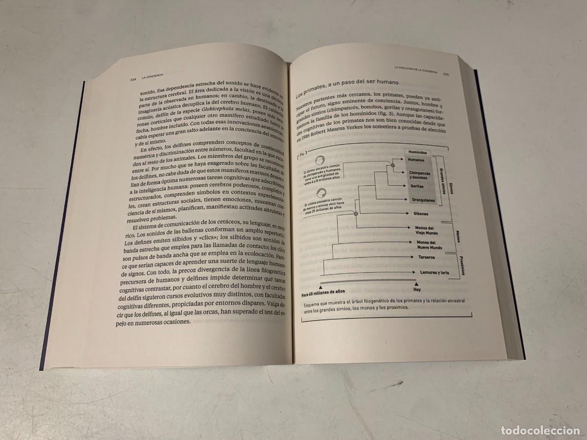 Libros: NUEVO LIBRO LOS SECRETOS DEL CEREBRO RBA - Foto 6