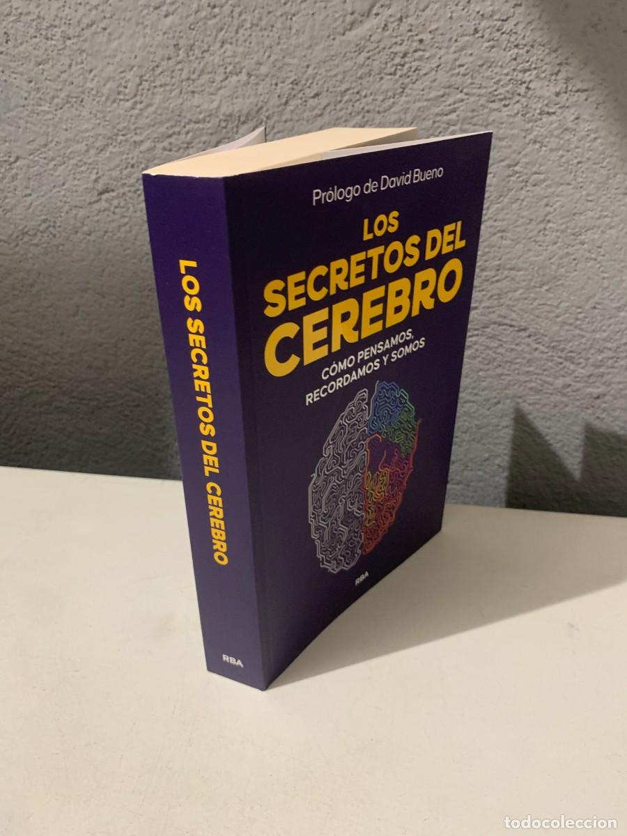 Libros: NUEVO LIBRO LOS SECRETOS DEL CEREBRO RBA - Foto 7