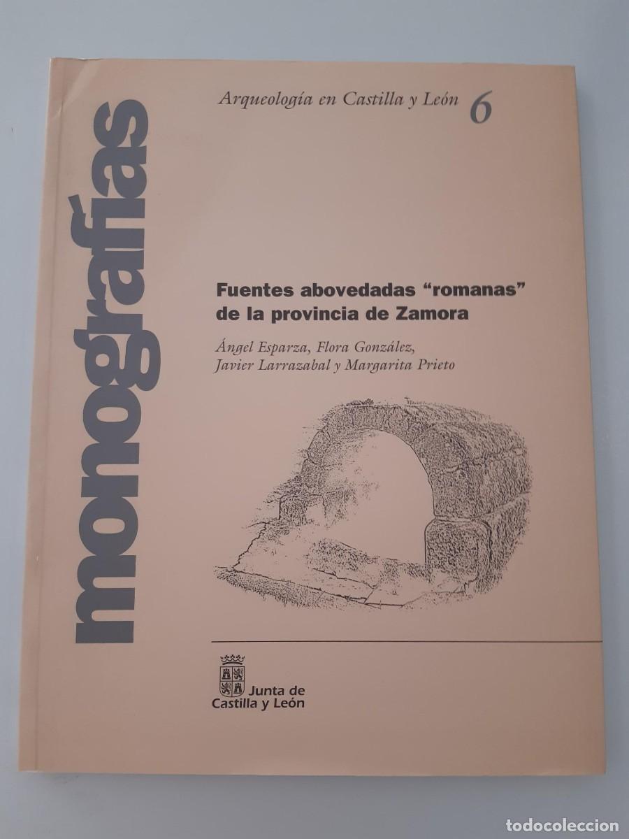 Old books: Arqueolog&iacute;a en Castilla y Le&oacute;n fuentes abovedadas romanas de la provincia de Zamora ANGEL ESPARZA