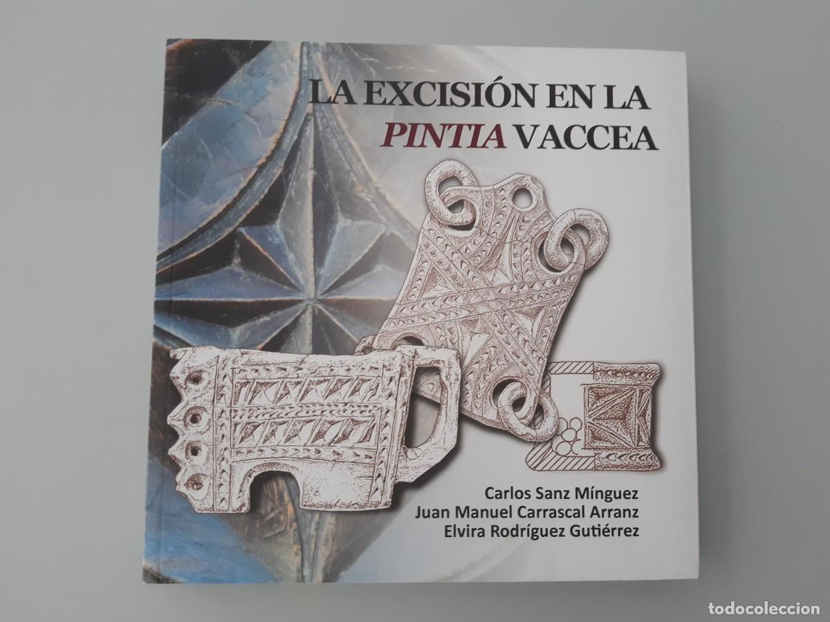 Libros antiguos: LA EXCISION EN LA PINTIA VACCEA ARQUEOLOGIA CARLOS SANZ MINGUEZ