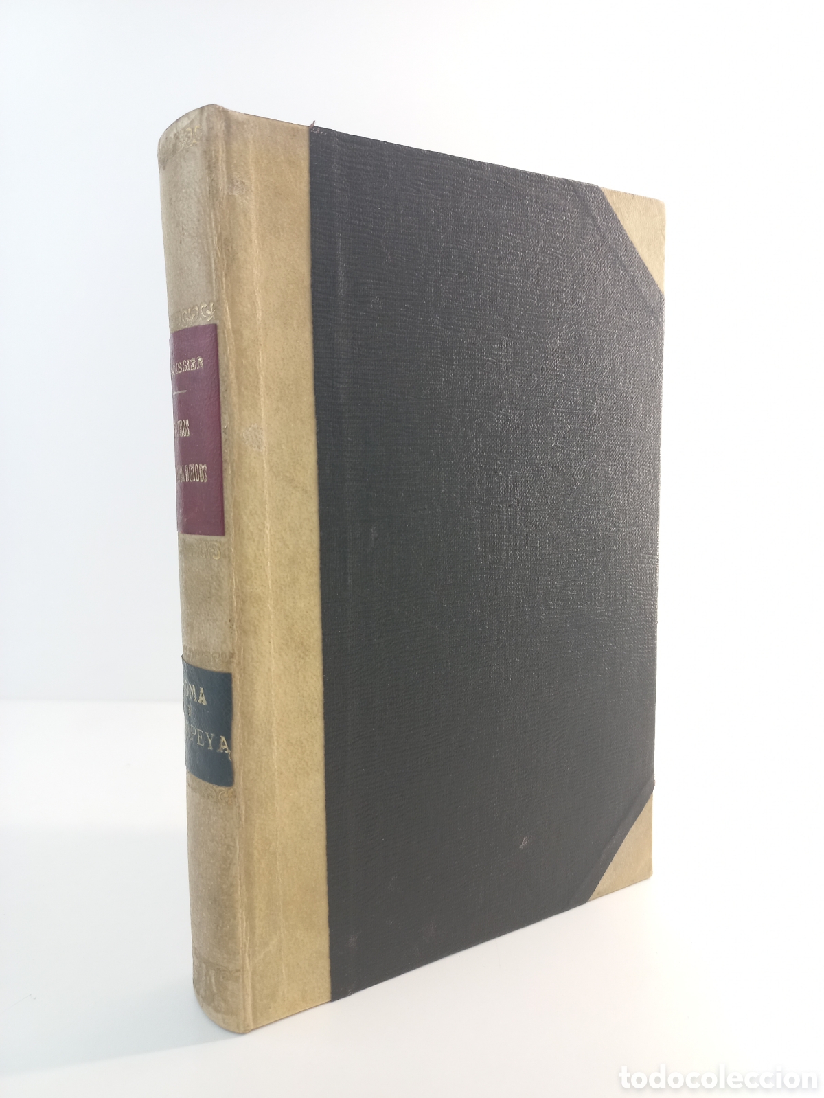 Libros antiguos: Paseos Arqueol&oacute;gicos Roma y Pompeya. Boissier. Daniel Jorro Editor, 1909.