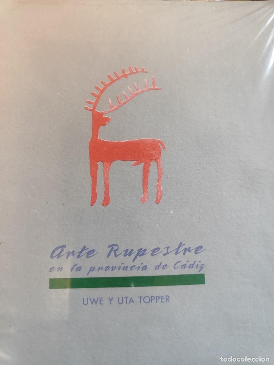 Libros antiguos: Arte rupestre en l provincia de C&aacute;diz