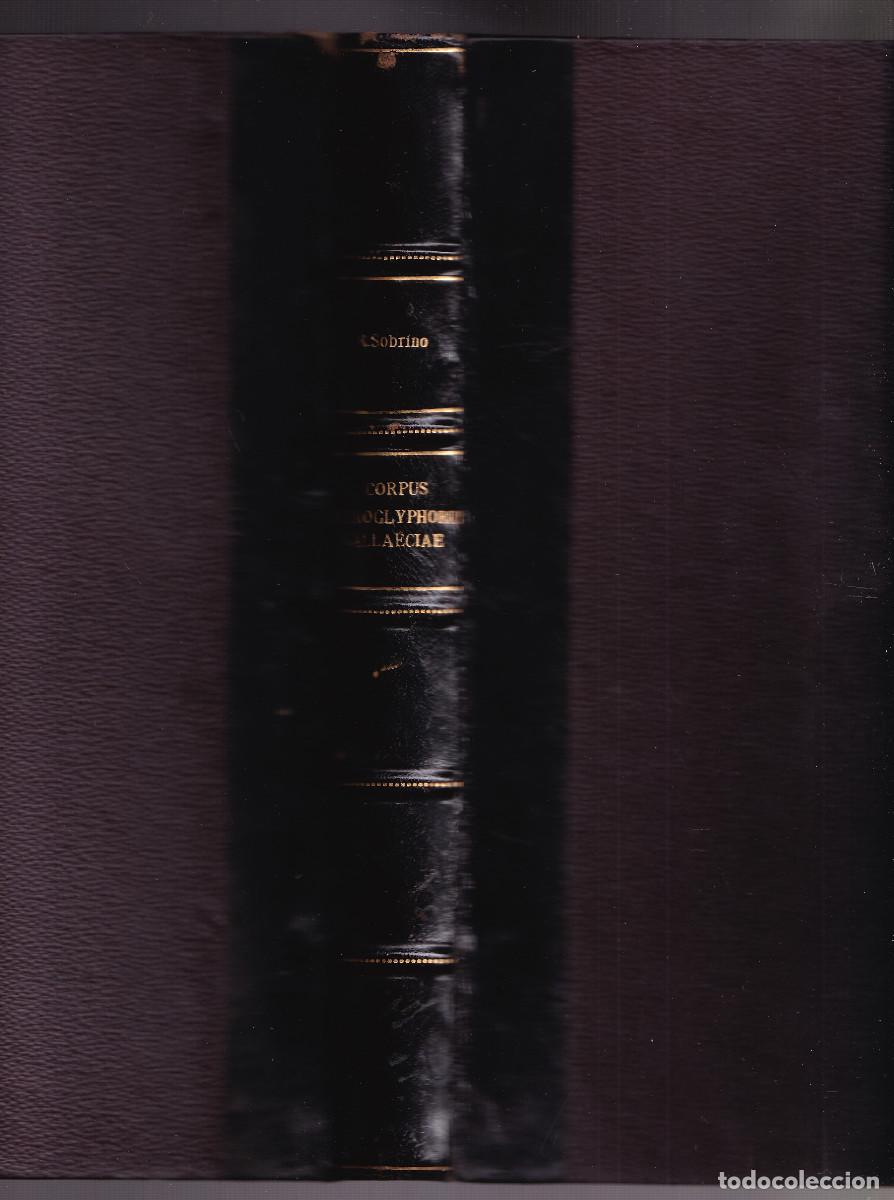 Livres anciens: RAM&Oacute;N SOBRINO BUHIGAS: CORPUS PETROGLYPHORUM GALLAECIAE. 1935. PETROGLIFOS DE GALICIA
