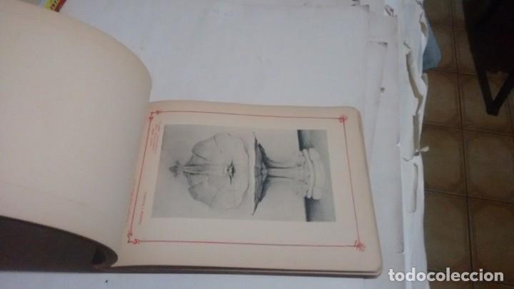 Libros antiguos: ORNEMENTATION  MODERNE - Foto 3