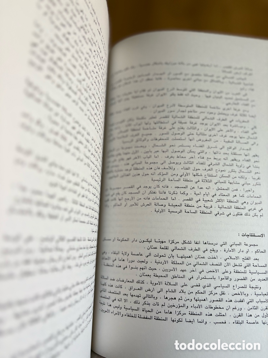Libros antiguos: EL PALACIO OMEYA DE AMMAN I - Foto 5