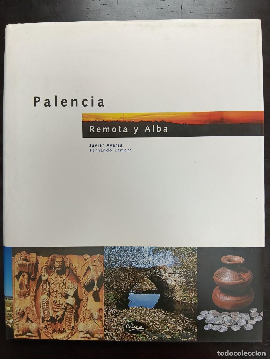 Libros antiguos: Palencia, Remota y Alba