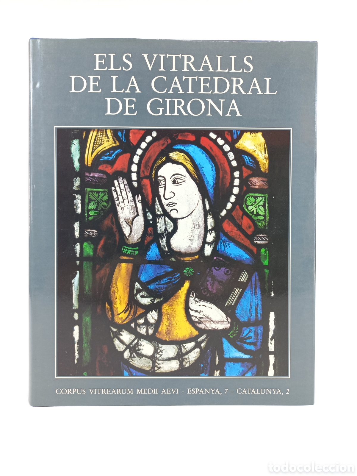 Libros antiguos: Els Vitralls de la Catedral de Girona. Joan Arnaud et al. Institut d'Estudis Catalans, 1987. Catal&aacute;n